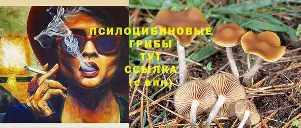 стаф Богородск