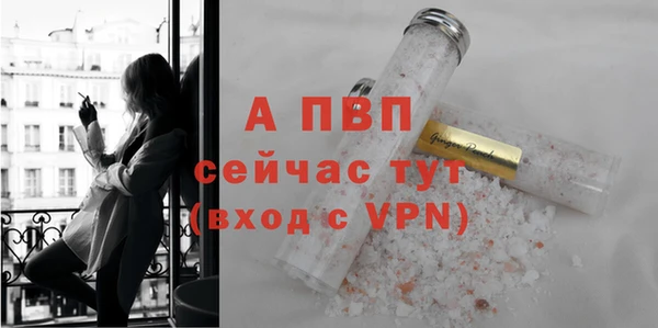 стаф Богородск