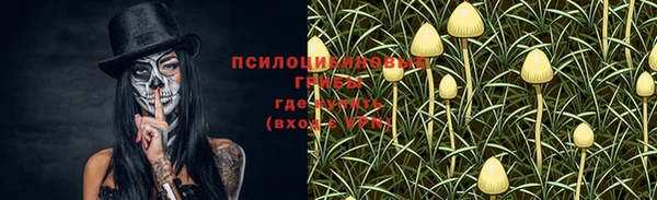 героин Богданович