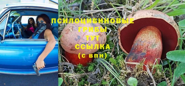 стаф Богородск