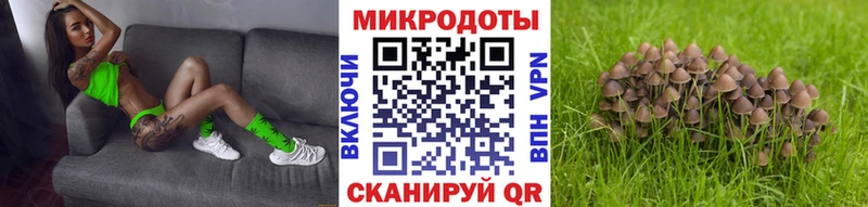 Галлюциногенные грибы мицелий  купить   Макаров 